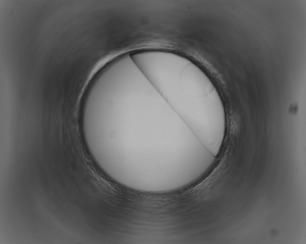 X0000096971222200803070958