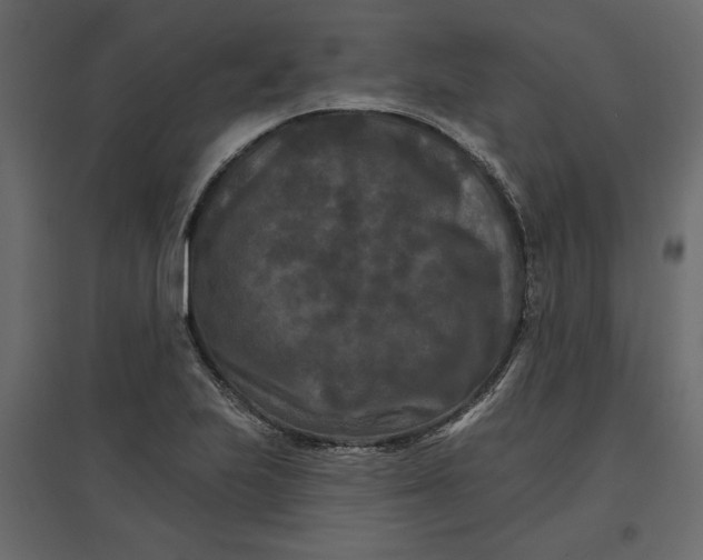 X0000096971223200803070958