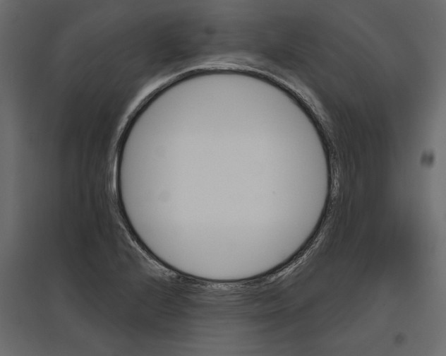 X0000096971224200803070958