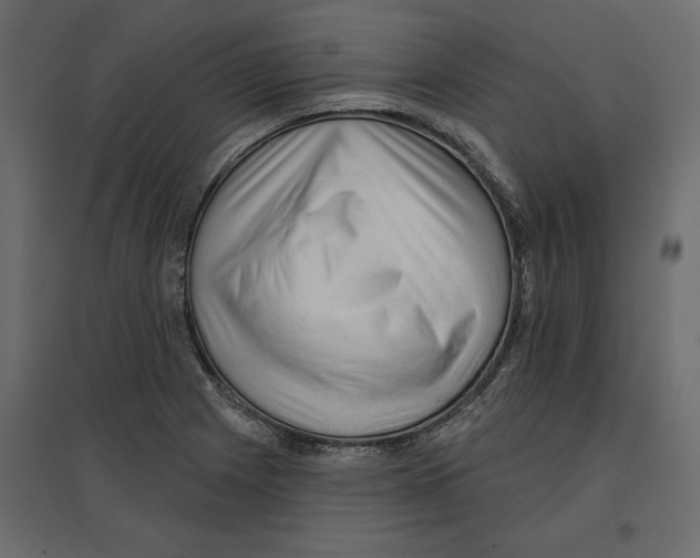 X0000096971225200803070958