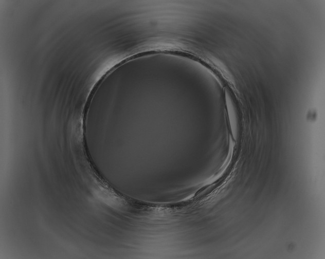 X0000096971226200803070958