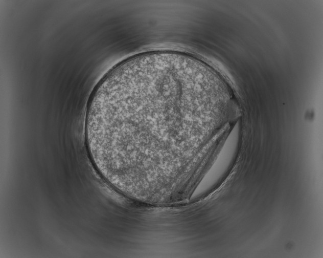 X0000096971228200803070958