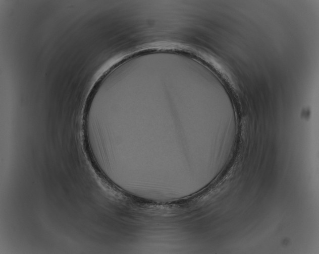 X0000096971229200803070958