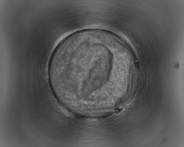 X0000096971230200803070958