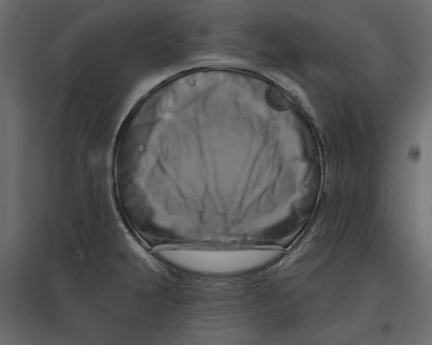 X0000096971231200803070958