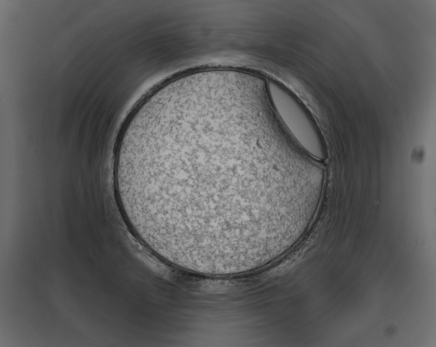 X0000096971232200803070958