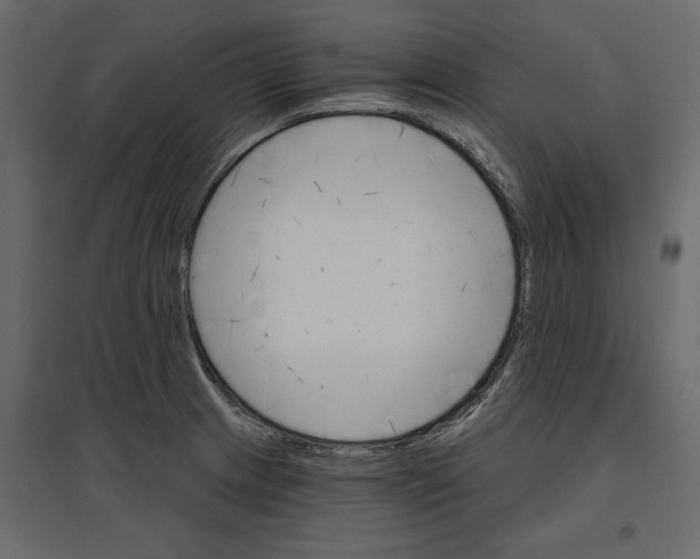 X0000096971233200803070958