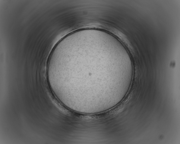 X0000096971234200803070958