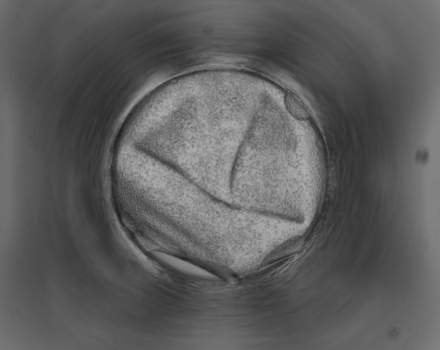 X0000096971235200803070958