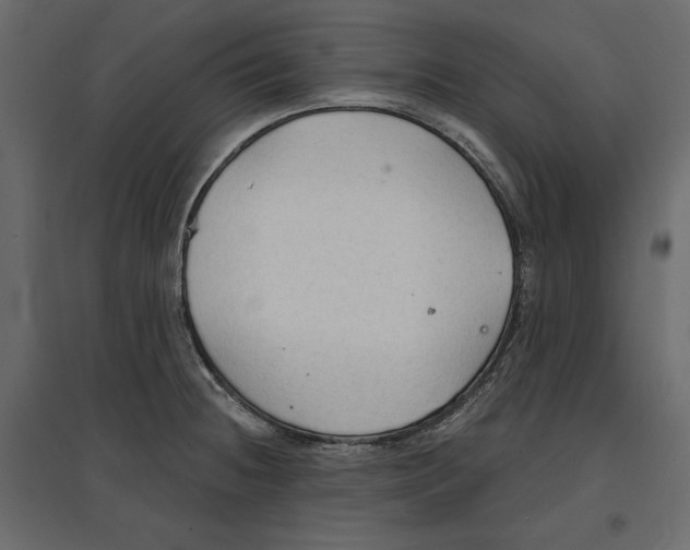 X0000096971236200803070958