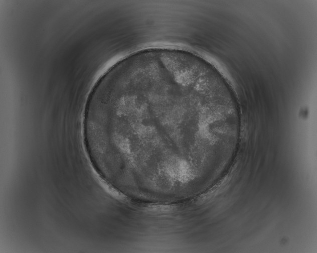 X0000096971237200803070958