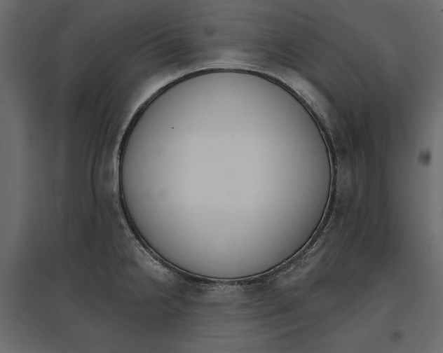 X0000096971238200803070958