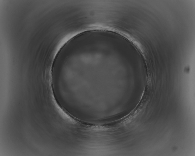 X0000096971239200803070958