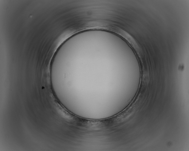 X0000096971242200803070959