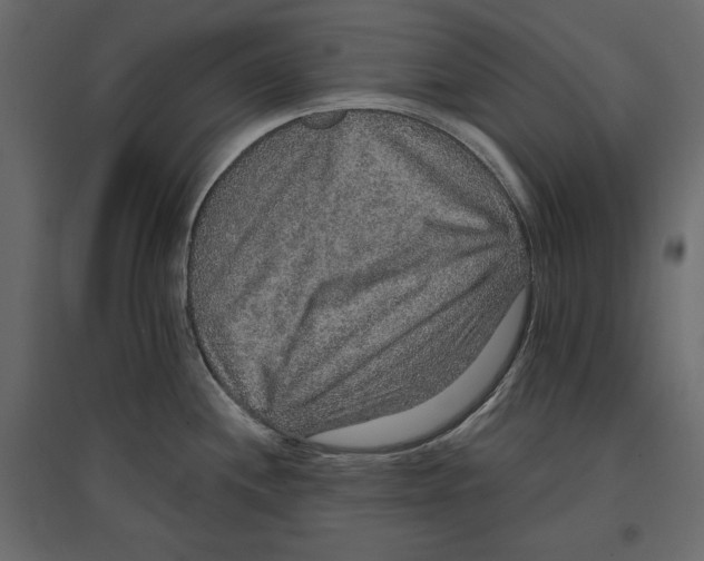 X0000096971244200803070959