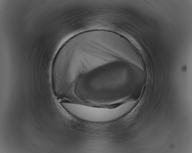 X0000096971246200803070959