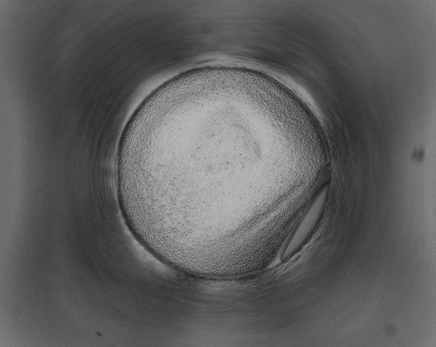 X0000096971247200803070959