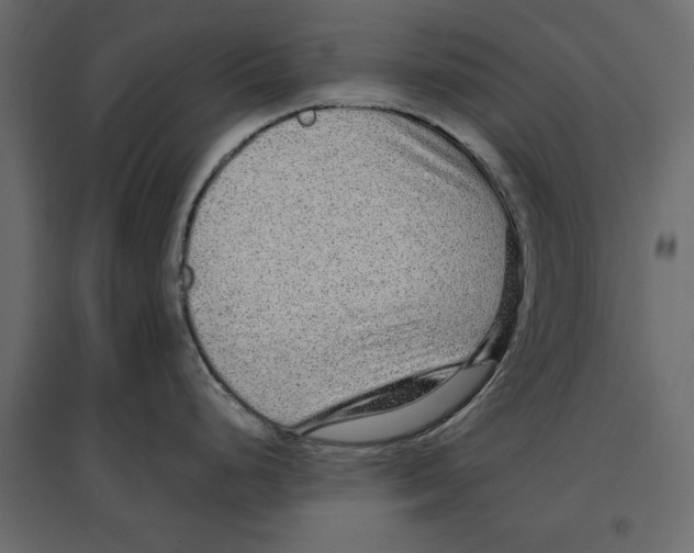 X0000096971248200803070959