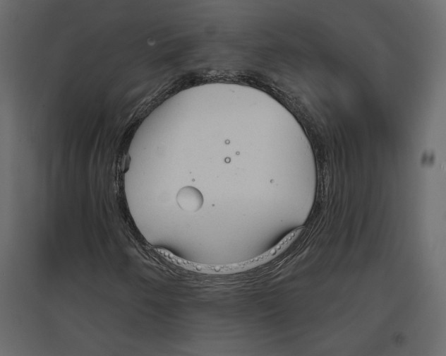 X0000096971250200803070958