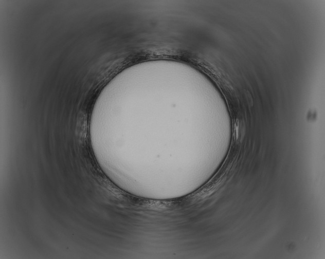 X0000096971251200803070958