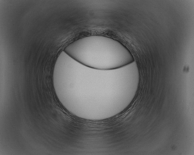 X0000096971252200803070958