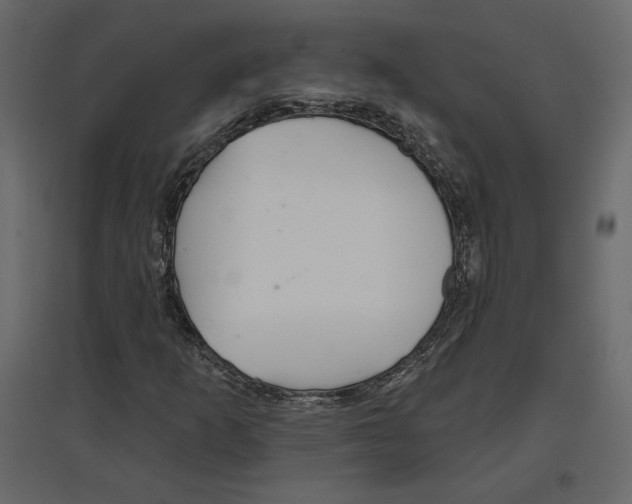 X0000096971253200803070958