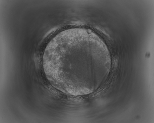 X0000096971254200803070958