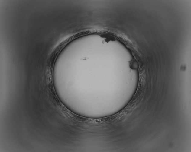 X0000096971255200803070958