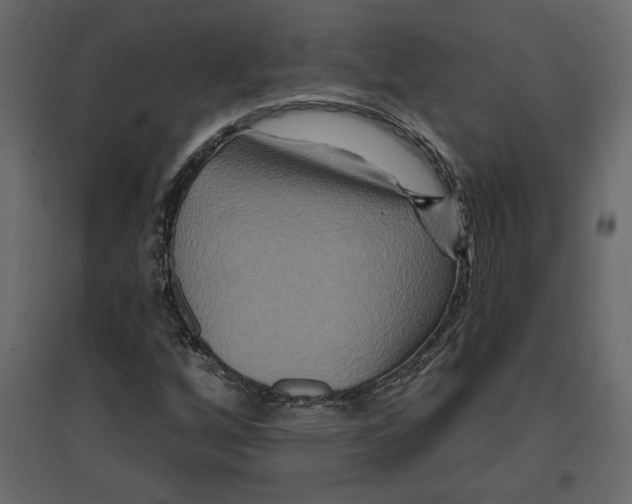 X0000096971256200803070958