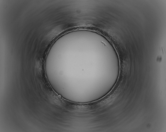 X0000096971257200803070958