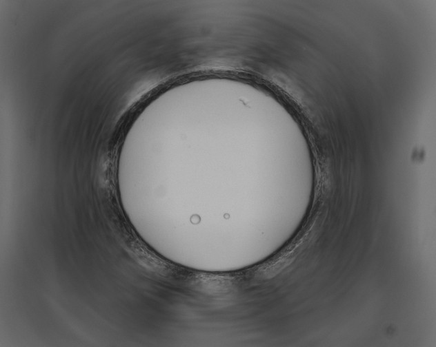 X0000096971258200803070958