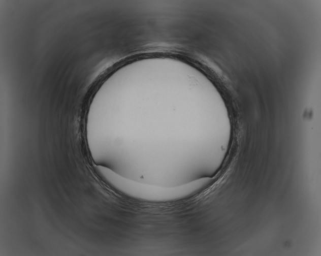 X0000096971259200803070958