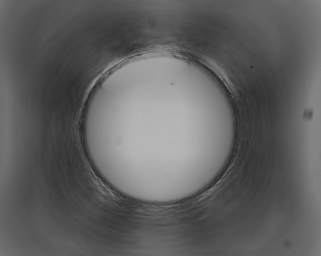 X0000096971260200803070958