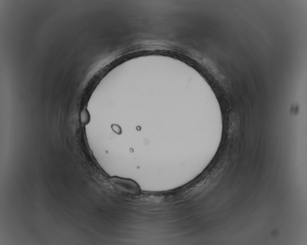 X0000096971261200803070958