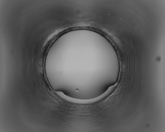 X0000096971262200803070958