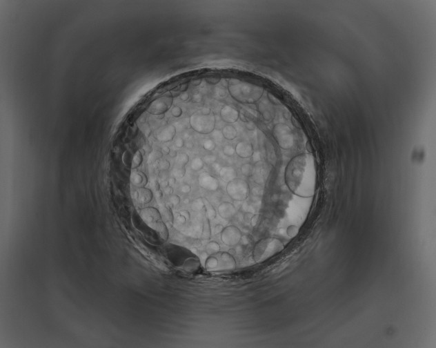 X0000096971263200803070958