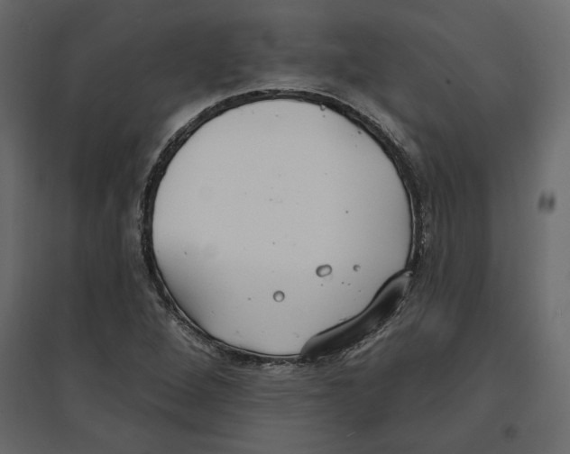 X0000096971264200803070958