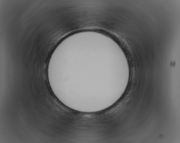 X0000096971265200803070958