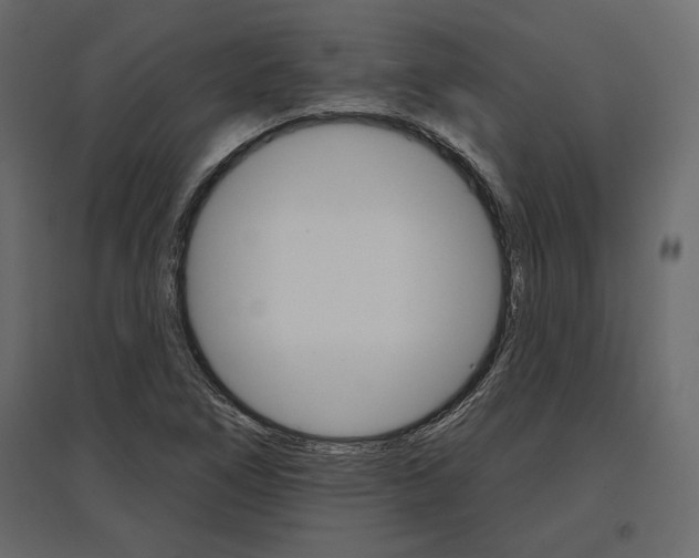 X0000096971266200803070958