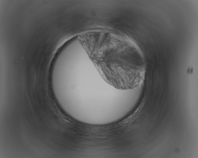 X0000096971267200803070958