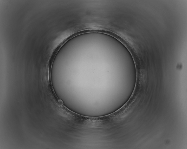 X0000096971269200803070958