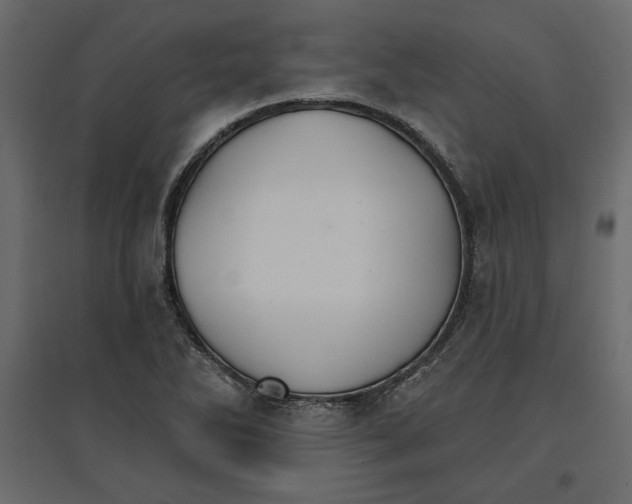 X0000096971270200803070958