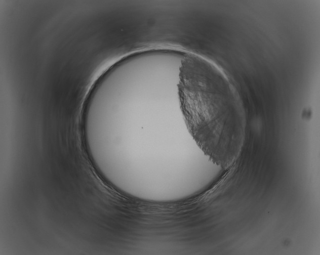 X0000096971271200803070958