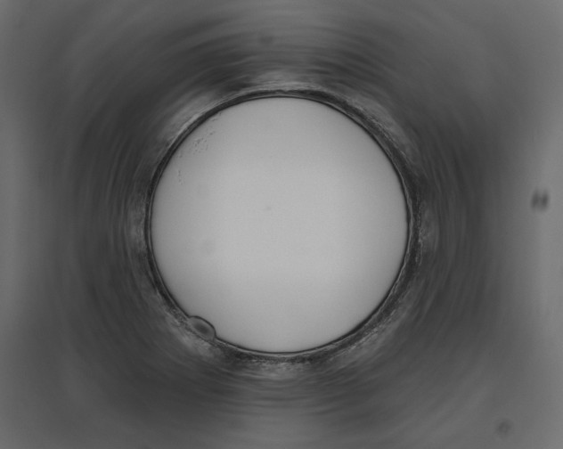 X0000096971273200803070958