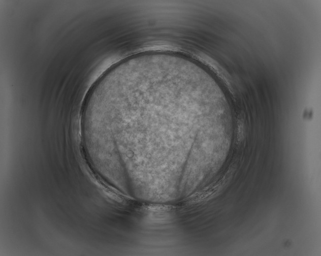 X0000096971274200803070958