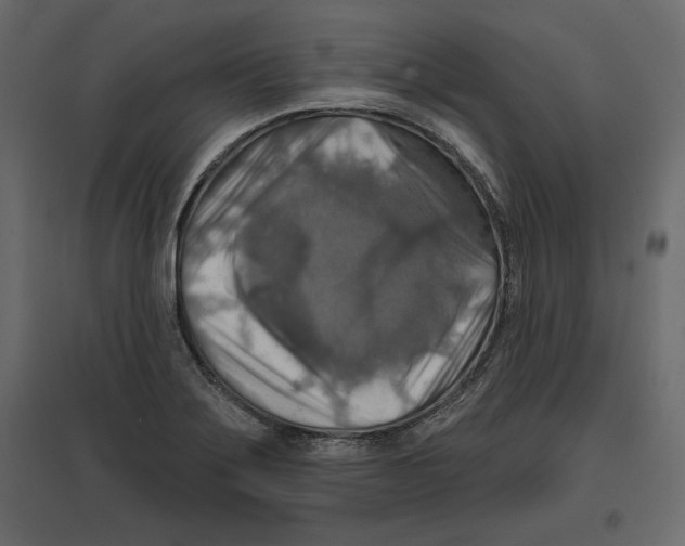 X0000096971275200803070958