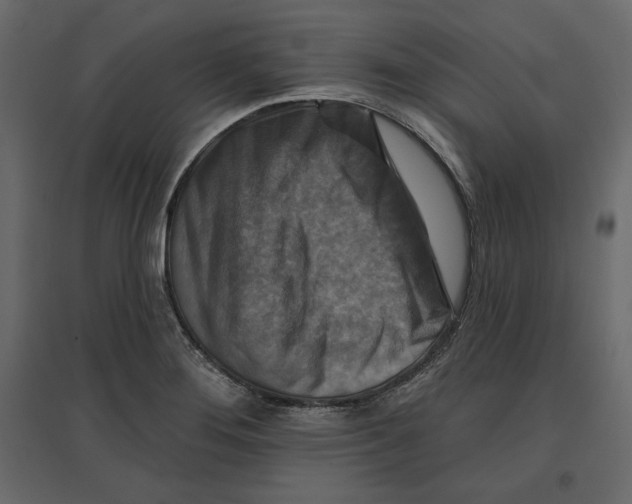 X0000096971276200803070957