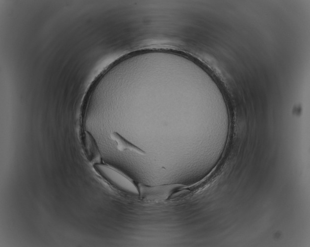 X0000096971277200803070957