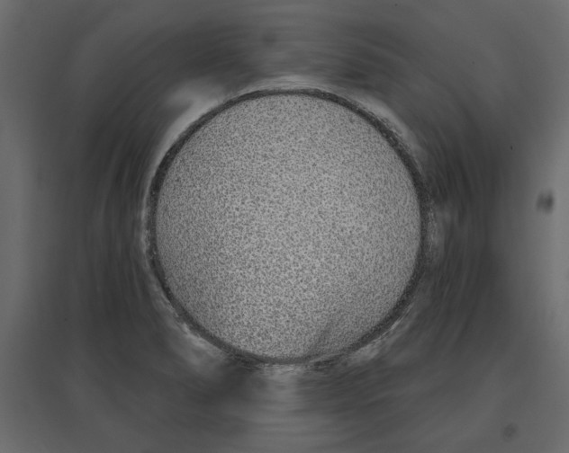 X0000096971278200803070957