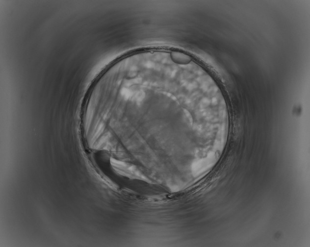 X0000096971279200803070957